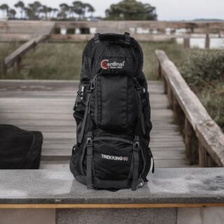 Σακίδιο πεζοπορίας Daypack 60L Camping 1488 μαύρο