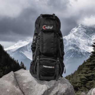 Σακίδιο πεζοπορίας Daypack 60L Camping 1488 μαύρο