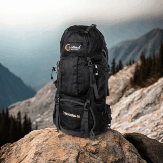 Σακίδιο πεζοπορίας Daypack 60L Camping 1488 μαύρο