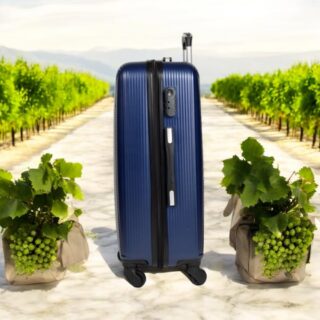 Βαλίτσα trolley Cardinal μικρή μεσαία 2009 50/60 cm σκούρο μπλέ