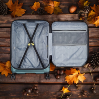 Delsey Βαλίτσα μεγάλη expandable 76cm Shadow Green