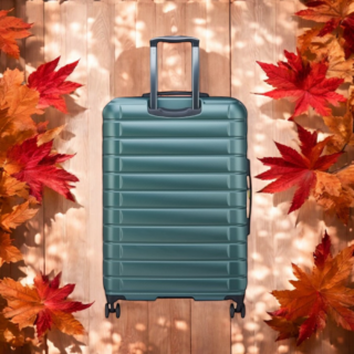 Delsey Βαλίτσα μεγάλη expandable 76cm Shadow Green
