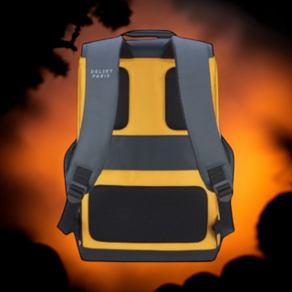 Delsey Σακίδιο πλάτης για laptop 15.6