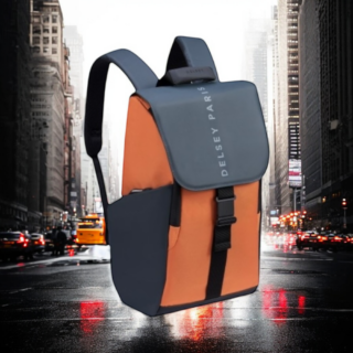 Delsey Σακίδιο πλάτης για laptop 15.6