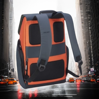 Delsey Σακίδιο πλάτης για laptop 15.6