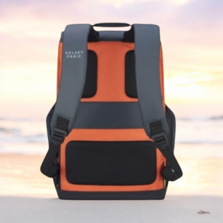 Delsey Σακίδιο πλάτης για laptop 15.6