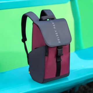 Delsey Σακίδιο πλάτης για laptop 15.6