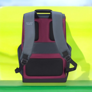 Delsey Σακίδιο πλάτης για laptop 15.6