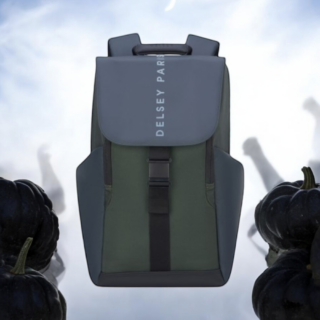 Delsey Σακίδιο πλάτης για laptop 15.6