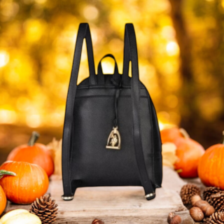 US Polo Assn. Τσάντα πλάτης Jones Black