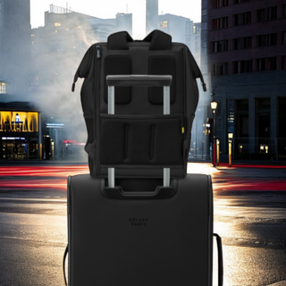 Delsey Σακίδιο πλάτης για laptop 14'' Turenne Black