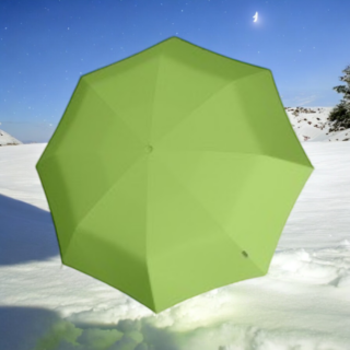 802270 Ομπρέλα  KNIRPS FLOYD Manual Green