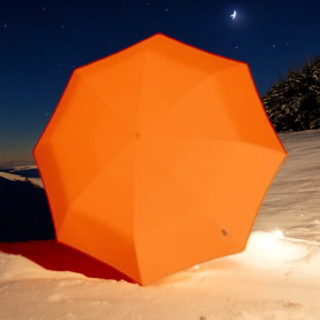 Knirps Floyd Manual Ομπρέλα Orange 802 300