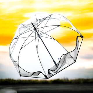 Knirps C.Series C.860 Lilith Διαφανής Ομπρέλα Μακριά