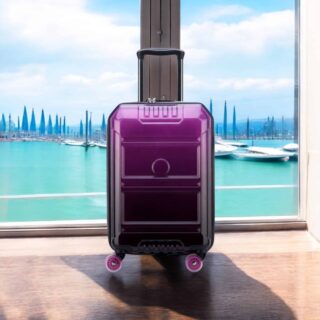Delsey Βαλίτσα καμπίνας 55cm Rempart Transculent Purple