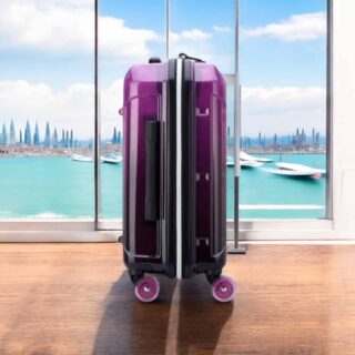 Delsey Βαλίτσα καμπίνας 55cm Rempart Transculent Purple