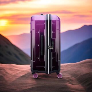 Delsey Βαλίτσα expandable trunk 73cm Rempart Transculent Purple