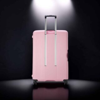 Delsey Ordener 77cm Βαλίτσα Μεγάλη Peony