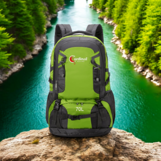 Σακίδιο πλάτης ορειβατικό Ταξιδιού Cardinal 856 70L πράσινο