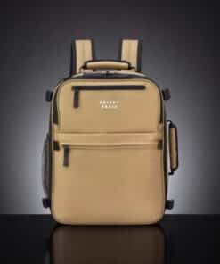 Delsey Σακίδιο Πλάτης Ταξιδίου Maubert 24lt Beige