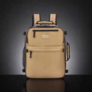 Delsey Σακίδιο Πλάτης Ταξιδίου Maubert 24lt Beige