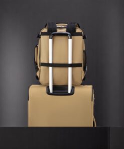 Delsey Σακίδιο Πλάτης Ταξιδίου Maubert 24lt Beige