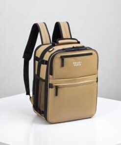 Delsey Σακίδιο Πλάτης Ταξιδίου Maubert 24lt Beige