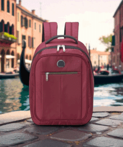 Delsey Pin Up 6 Burgundy Σακίδιο Πλάτης