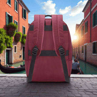 Delsey Pin Up 6 Burgundy Σακίδιο Πλάτης