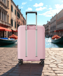 Delsey Βαλίτσα καμπίνας slim 55cm Ordener Peony