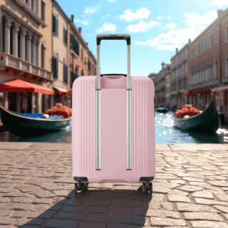 Delsey Βαλίτσα καμπίνας slim 55cm Ordener Peony