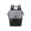 Delsey Σακίδιο πλάτης για laptop 14" Turenne Silver