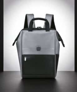Delsey Σακίδιο πλάτης για laptop 14" Turenne Silver