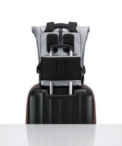 Delsey Σακίδιο πλάτης roll-top Turenne Silver