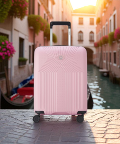 Delsey Βαλίτσα καμπίνας slim 55cm Ordener Peony