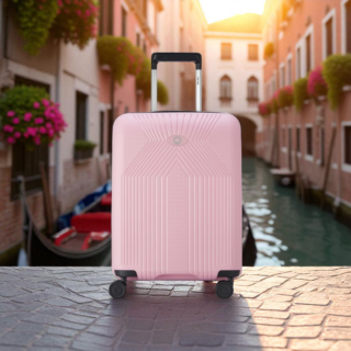 Delsey Βαλίτσα καμπίνας slim 55cm Ordener Peony