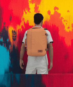 Cabin Zero Travel Classic Gobi Sands 36lt Σακίδιο Πλάτης