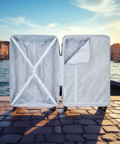 Delsey Ordener Βαλίτσα Μεγάλη 77cm Μωβ