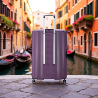 Delsey Ordener Βαλίτσα Μεγάλη 77cm Μωβ