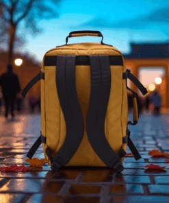 Cabin Zero Σακίδιο πλάτης ταξιδίου 36lt Travel Classic Orange Chill