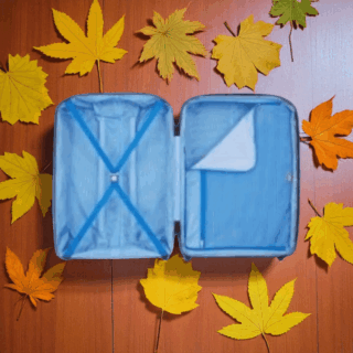 Delsey Anvers Βαλίτσα Μεσαία 64.5cm Expandable Μπλέ