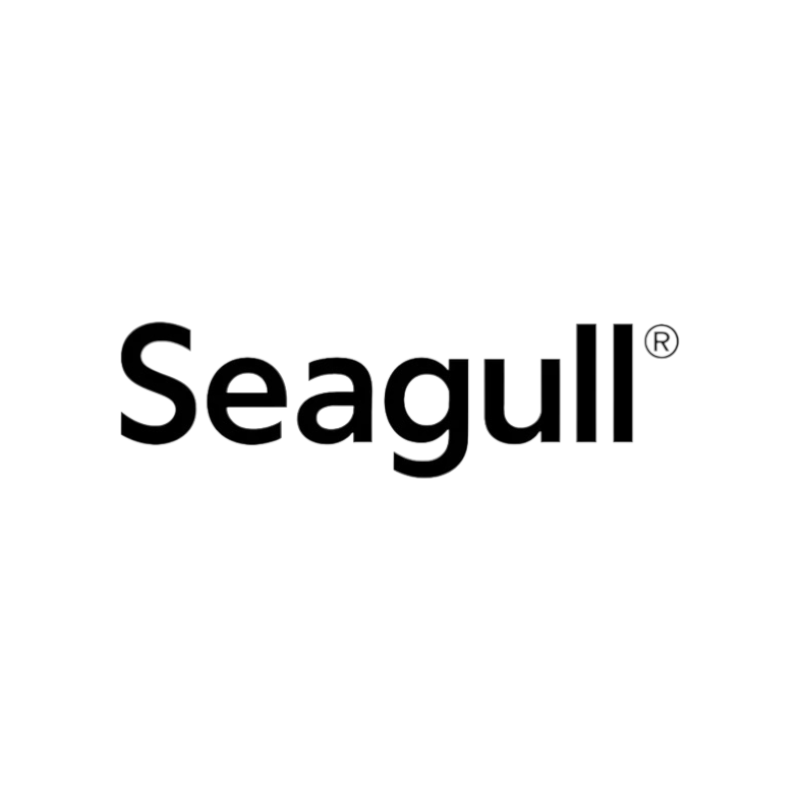 Seagull